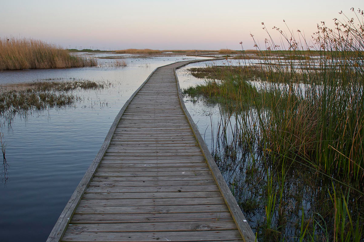 Boardwalk meandering through a Texas Marsh.